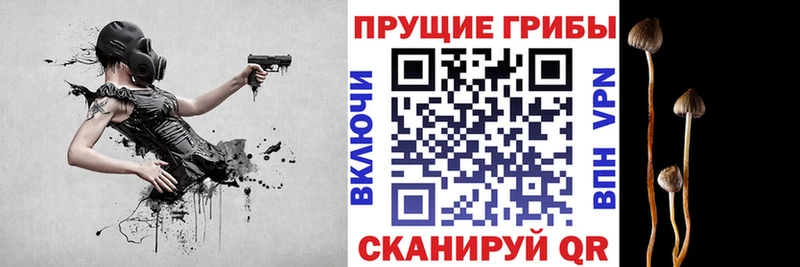 Галлюциногенные грибы прущие грибы  маркетплейс Telegram  Сусуман 